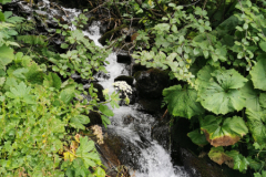 IMG_20250728_164221