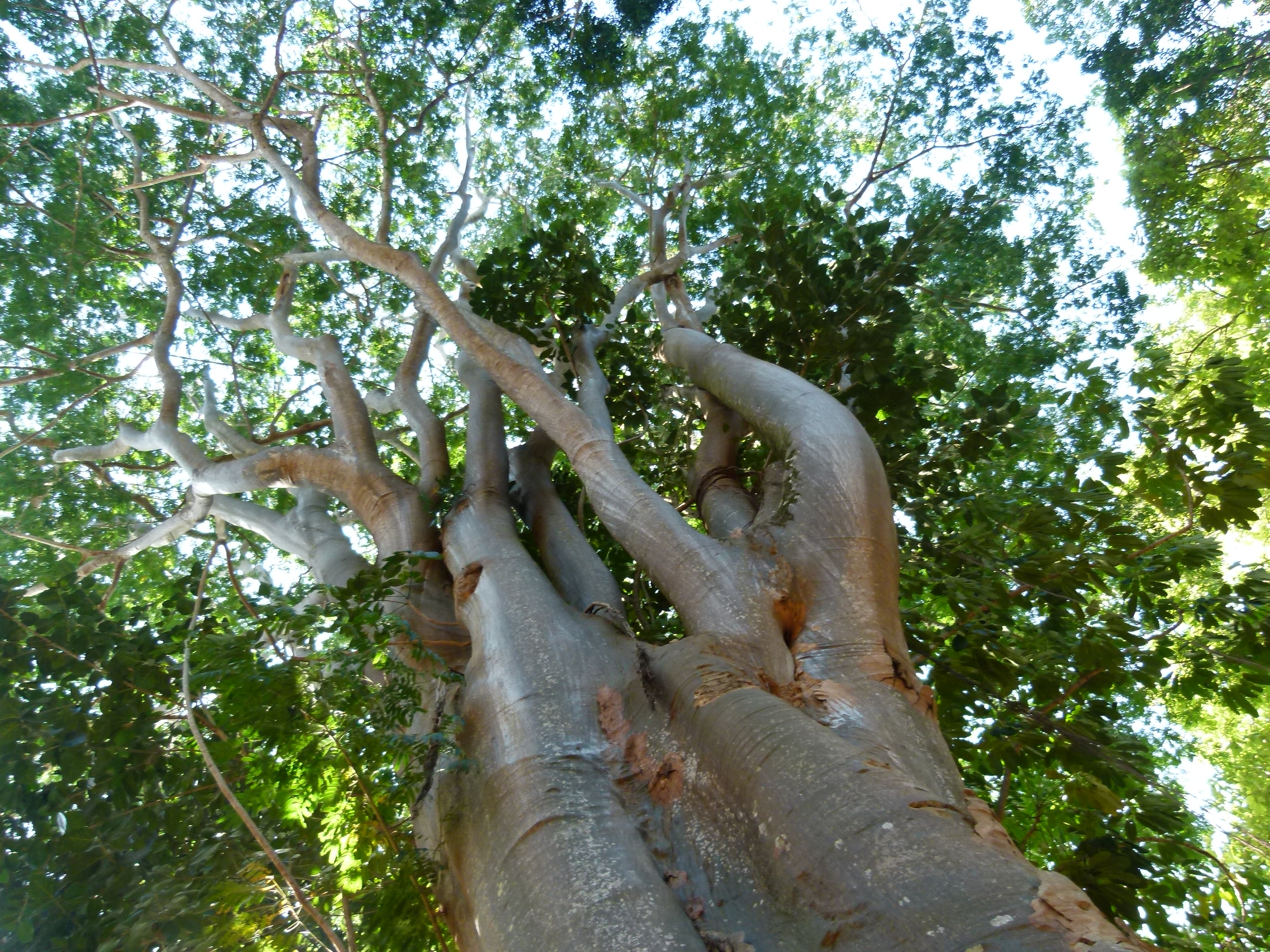 P1020526