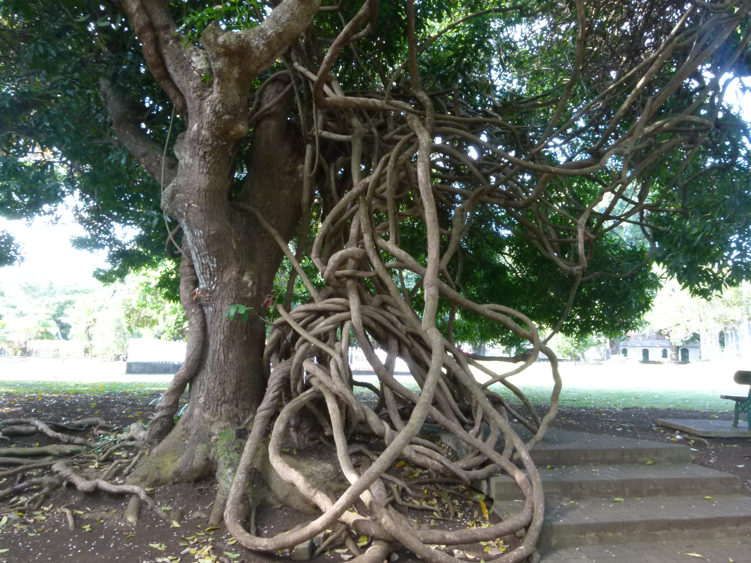 P1020589
