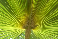 P1020515