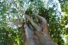 P1020526