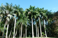 P1020528
