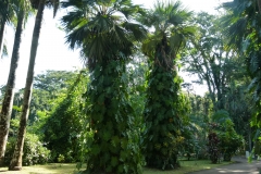 P1020531