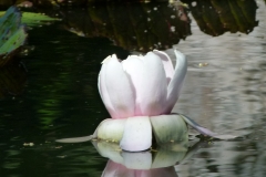 P1020534