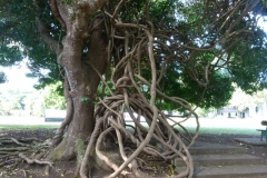 P1020589