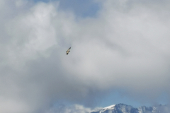 IMG_20250803_100348