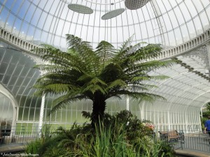 Botanic Garden, Glasgow