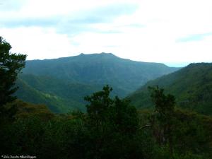 Day 5 Black River et Chamarel (16)