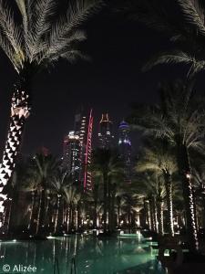 Dubai, Emirats Arabes Unis (11)