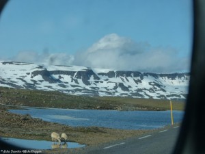 Fjord-seydifjordur-6
