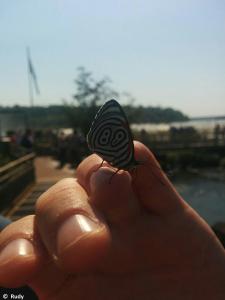 IMG 20150901 104712 (1)