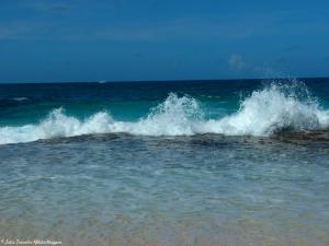 P1150038 Police Bay - Petit Police (1)